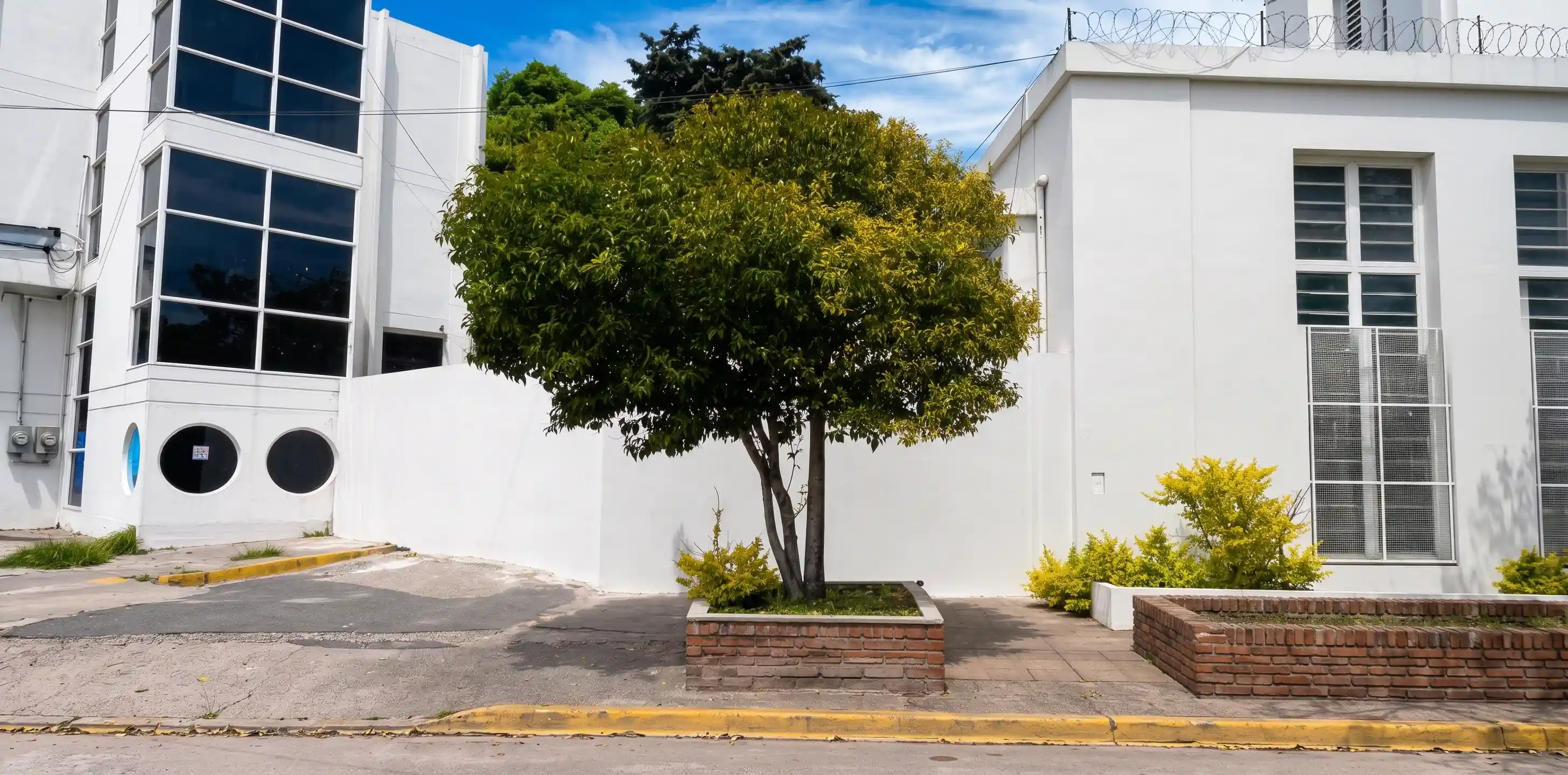 Reja perimetral de hierro que cierra un predio arbolado